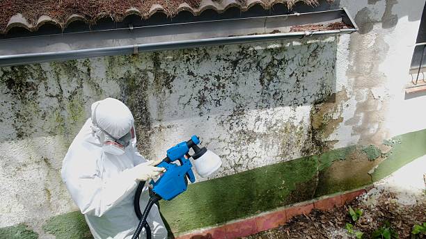 Trusted Mold Remediation service in Hertford, NC - Cheap Mold Removal